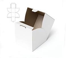 异型纸箱